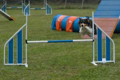 Agility-mini-18