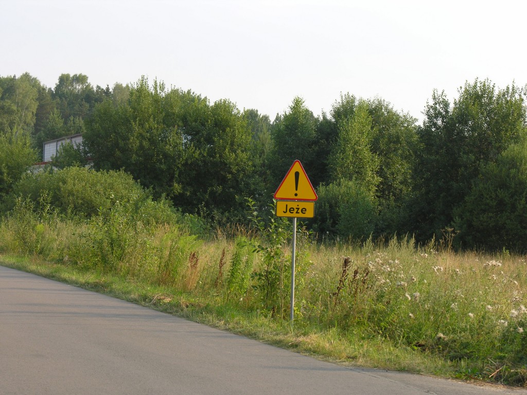 znak drogowy w strefie